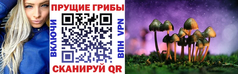 Галлюциногенные грибы Cubensis блэк спрут tor Красный Холм